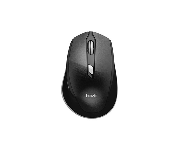 HAVIT MS622GT Wireless Optical Mouse