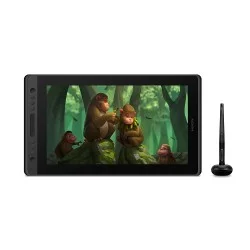 Huion KAMVAS Pro 16 (15.6 inch) FHD Graphics Drawing Tablet