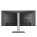 ASUS ProArt PA34VCNV 34'' 1440P Ultrawide Curved Professional Monitor