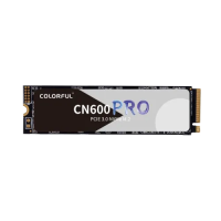 Colorful CN600 PRO 256GB M.2 NVMe SSD