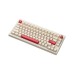 JAMESDONKEY RS2 ROSY RGB MECHANICAL KEYBOARD (HUANO RED WHITE SWITCH)