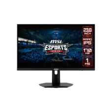 MSI G244F 23.8 inch FHD Rapid IPS 170Hz Gaming Monitor