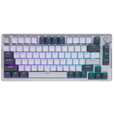 Royal Kludge RK H81 Tri Mode RGB Hot Swap (Blue Switch) White Night Mechanical Gaming Keyboard