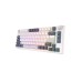 Royal Kludge RK H81 Tri Mode RGB Hot Swap (Blue Switch) White Night Mechanical Gaming Keyboard