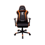 Gigabyte AORUS AGC300 Gaming Chair with Lumbar Cushion & Headrest