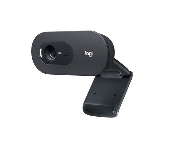 Logitech C505 High-Definition Webcam